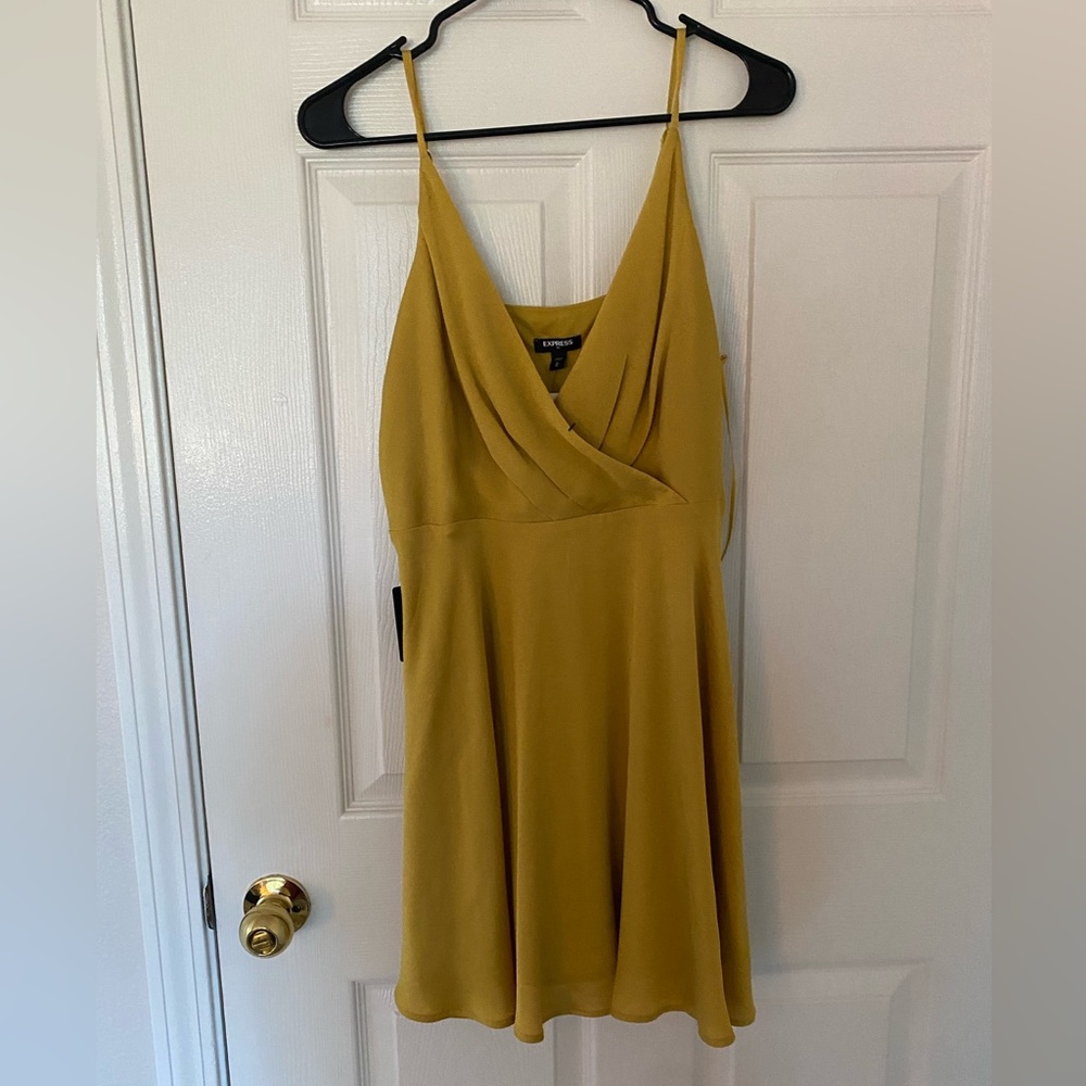 NWT Express Dress